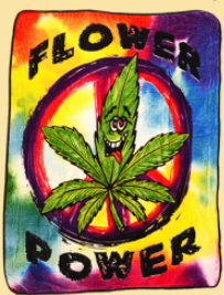Flower Power Peace Sign Fleece Throw - HalfMoonMusic