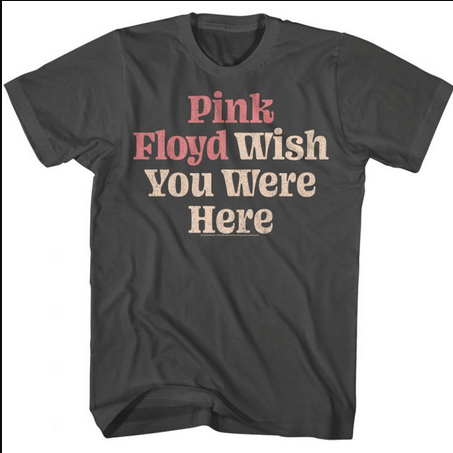 Men's Pink Floyd WYWH Text T-Shirt - HalfMoonMusic