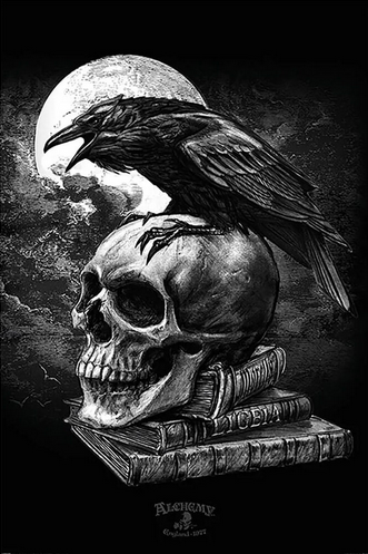 Alchemy Poe's Raven Skull Poster - HalfMoonMusic
