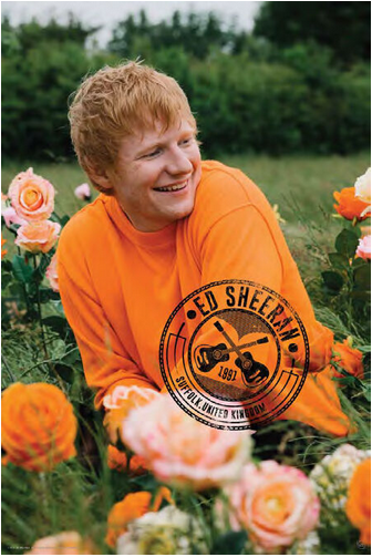 Ed Sheeran Rose Field Poster - HalfMoonMusic