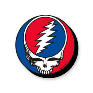 Grateful Dead Steal Your Face Chunky Magnet - HalfMoonMusic
