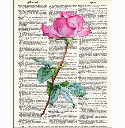 Pink Rose Dictionary Page Art Print