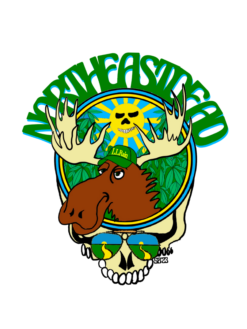 Grateful Dead Northeast Dead Moose Corduroy Snapback Hat
