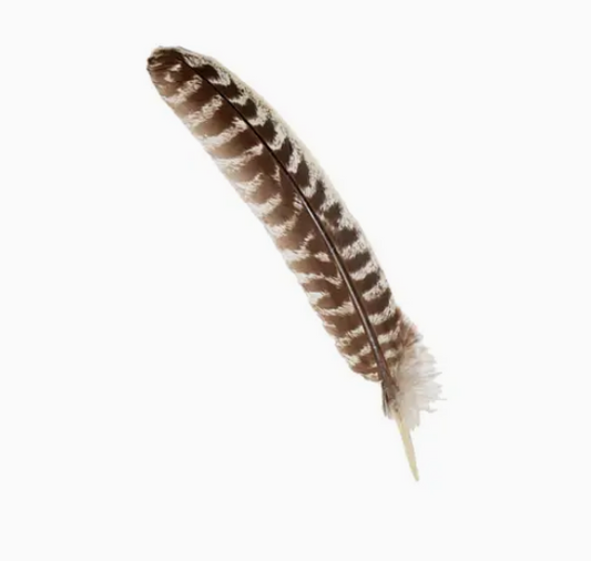 100% Real Turkey Smudge Feather