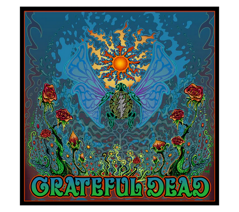 Grateful Dead Flying Turtle Art Print