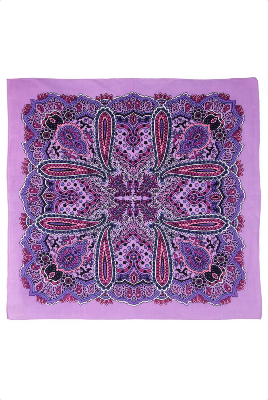 DISCONTINUED Paisley Print Bandana