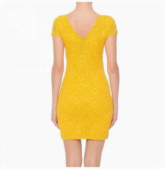 Women's Lace V-Neck Short Sleeve Bodycon Dress