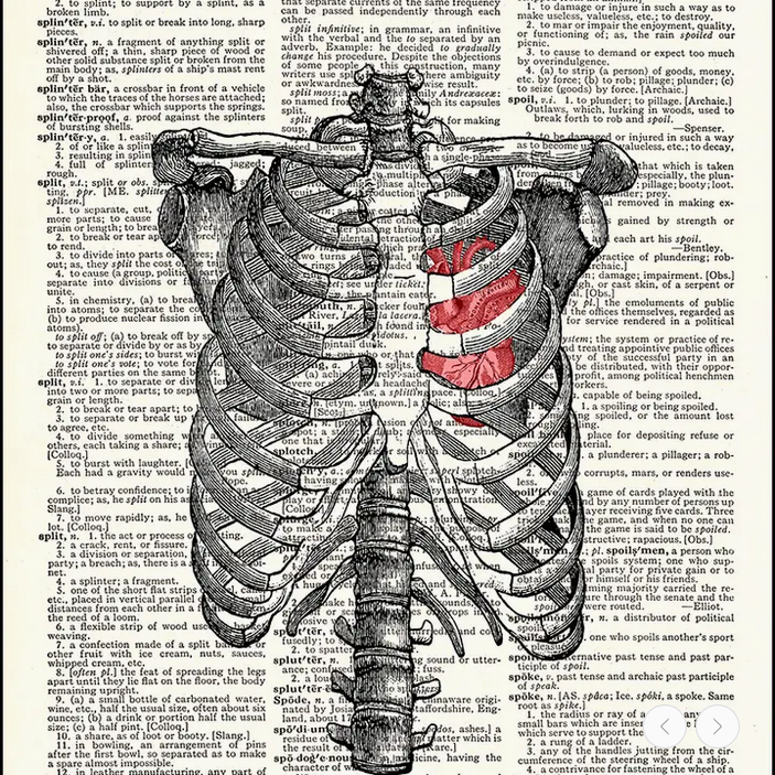 Ribs and Heart Dictionary Print