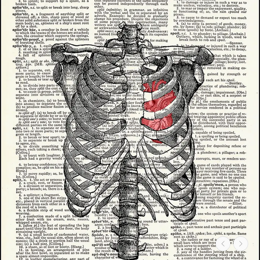 Ribs and Heart Dictionary Print