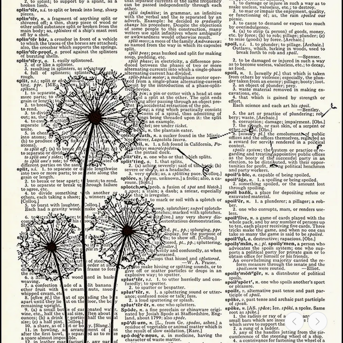 Three Dandelions Dictionary Print