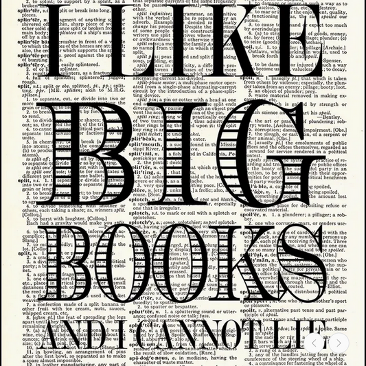I Like Big Books Dictionary Print