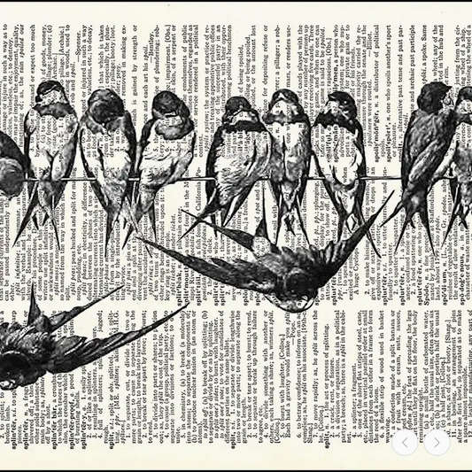 Birds On A Wire Dictionary Print