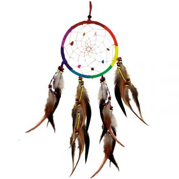 Single Rainbow Feathered Crystal Dreamcatcher