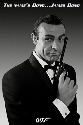 James Bond The Name is Bond Poster