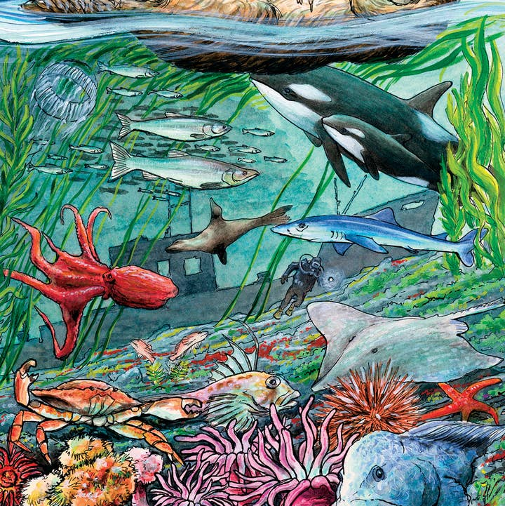 35 Piece Tray Puzzles