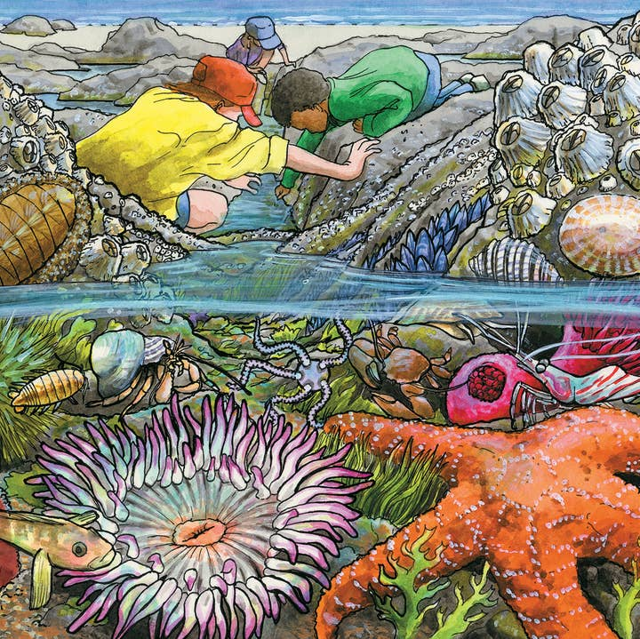 35 Piece Tray Puzzles