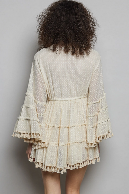 Women's Embroidery Tassel V-Neck Flared Dress