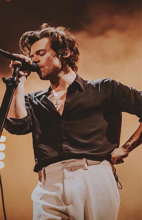 Harry Styles Concert Art Print