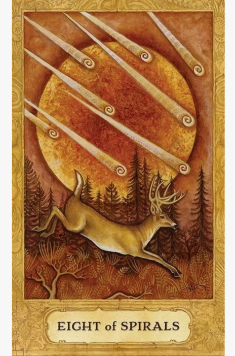 Chrysalis Tarot Deck and Book Set