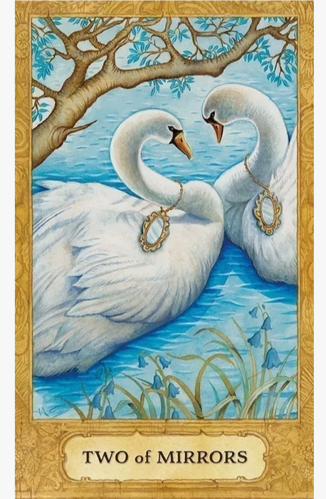 Chrysalis Tarot Deck and Book Set