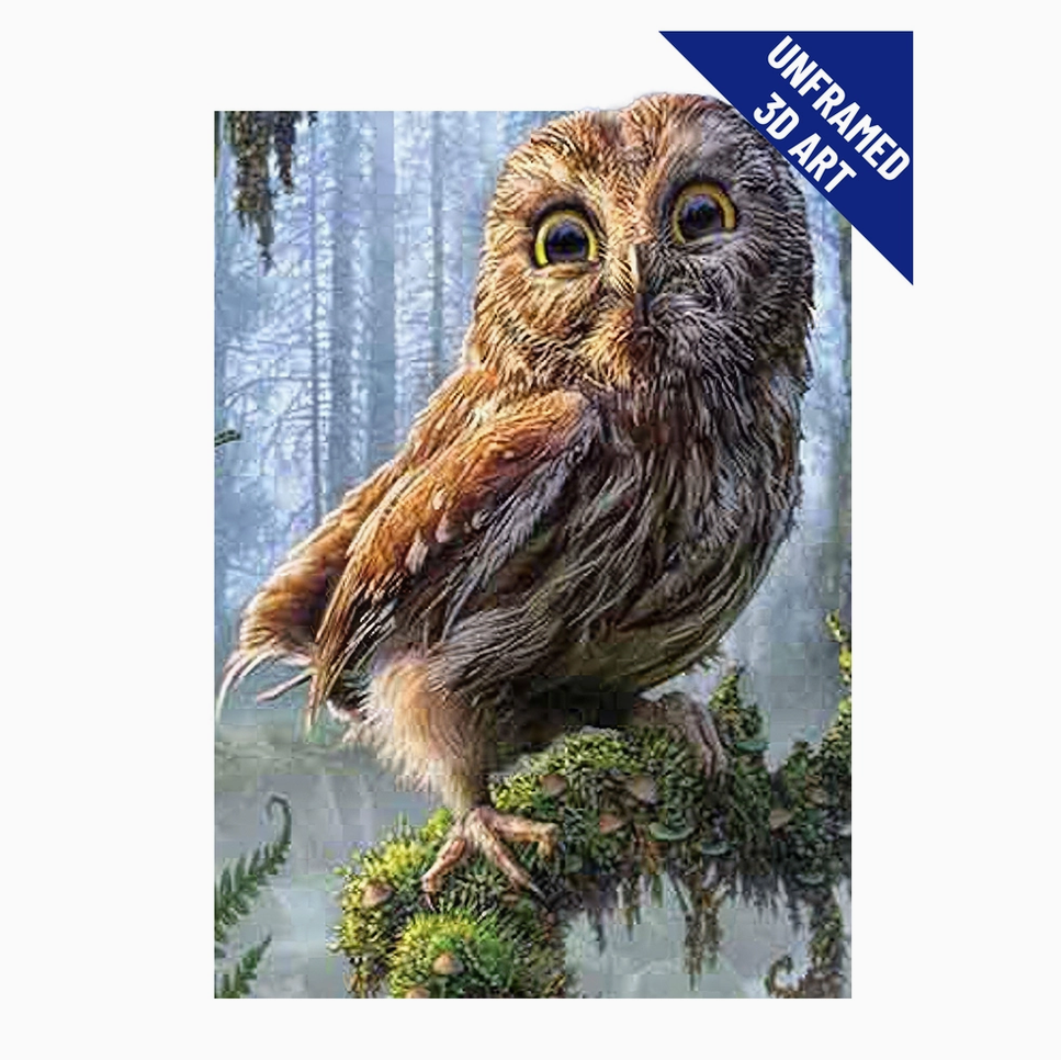 Cute Baby Owl 3D Lenticular Wall Art