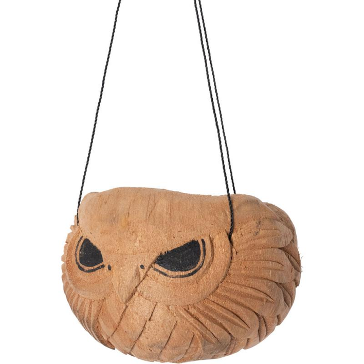Coconut Shell Hanging Flowerpot