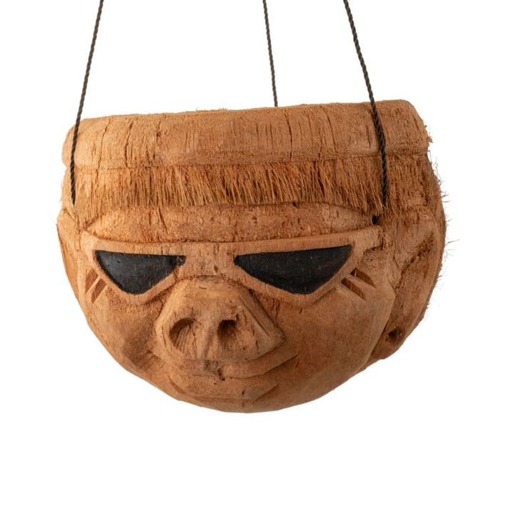 Coconut Shell Hanging Flowerpot
