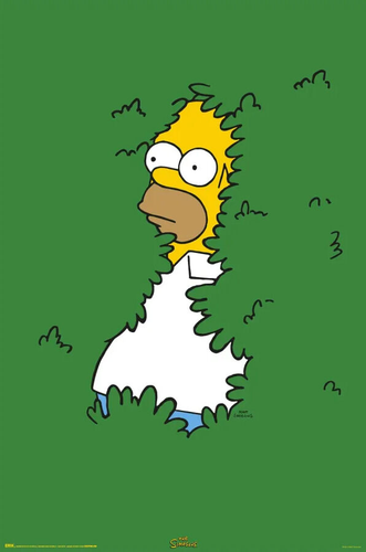 Simpsons Homer Bush  Poster