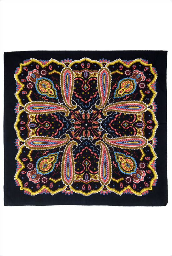DISCONTINUED Paisley Print Bandana