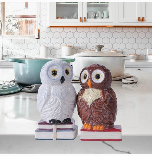 Book Owls Salt and Pepper Shaker Set