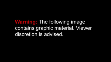 Men's Cannibal Corpse The Wretched Spawn T-Shirt (Black)