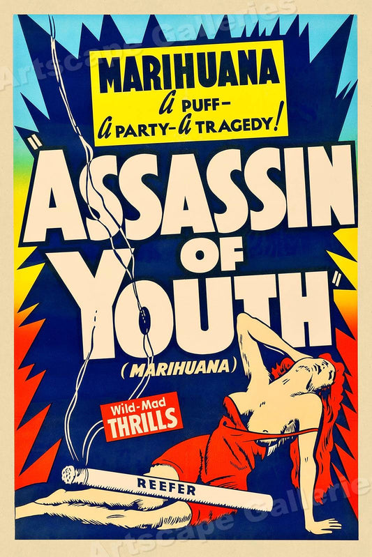 Assassin of Youth Poster - HalfMoonMusic