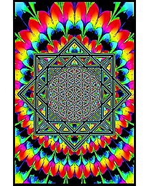 Sacred Geometry blacklight Poster - HalfMoonMusic