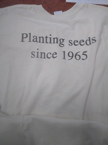 Mens Grateful Dead Sunflower Seeds T-Shirt - HalfMoonMusic