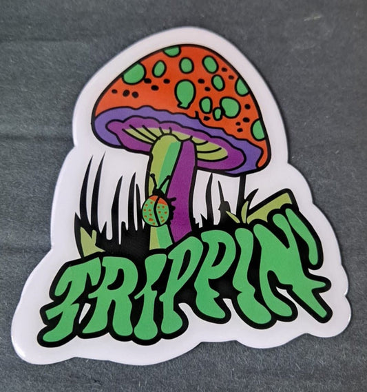 Trippin' Mushroom Ladybug Metal Sticker - HalfMoonMusic