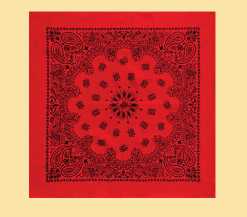 Austin Paisley Bandana - HalfMoonMusic