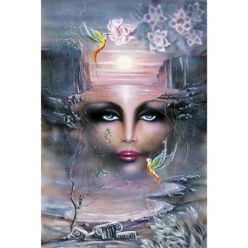 La Vision Poster - HalfMoonMusic