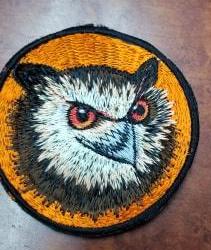 Embriodered Eagle Patch - HalfMoonMusic