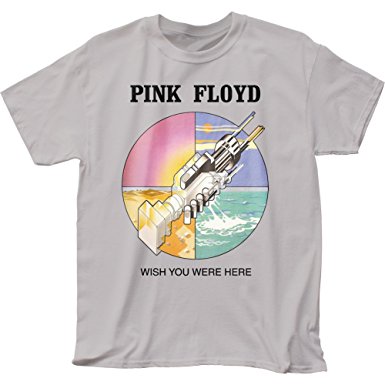 Mens Pink Floyd Wish You Were Here Silver T-shirt - HalfMoonMusic