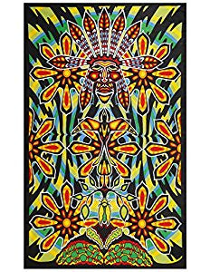 Native Warrior Art Tapestry - HalfMoonMusic