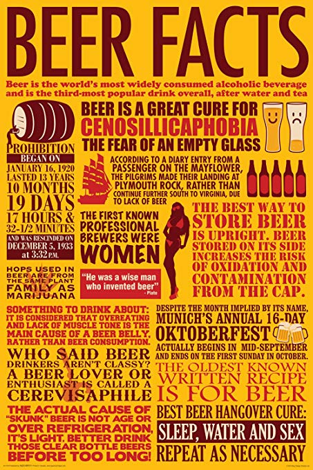 Beer Facts Poster - HalfMoonMusic