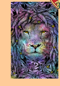 Rasta Lion Oversized Beach Towel - HalfMoonMusic