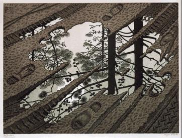 Puddle Escher Art Print Poster - HalfMoonMusic