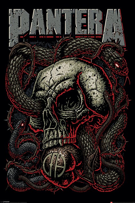 11x17 Pantera Skull Countertop Poster - HalfMoonMusic