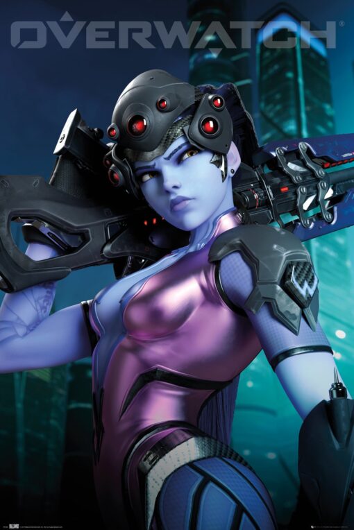 11x17 Overwatch Widowmaker Countertop Poster - HalfMoonMusic