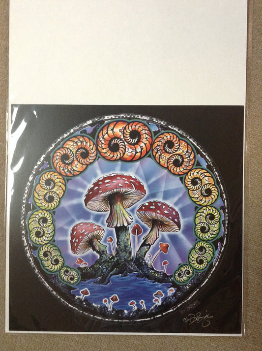 Spiral Mushroom Mike DuBois Art Print - HalfMoonMusic