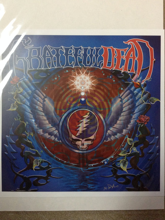 Flying Steal Your Face Mike DuBois Art Print - HalfMoonMusic