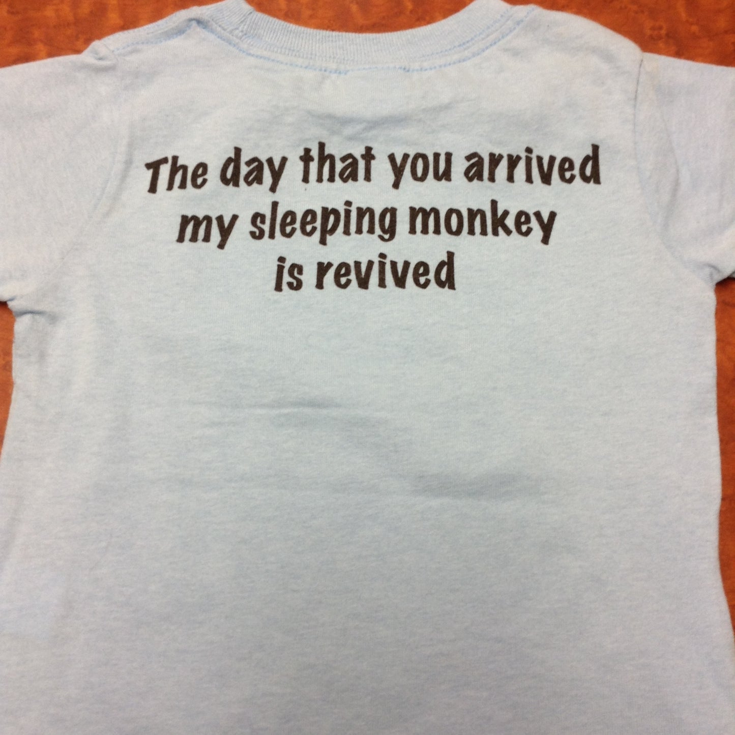 Phish Sleeping Monkey Youth T Shirt - HalfMoonMusic