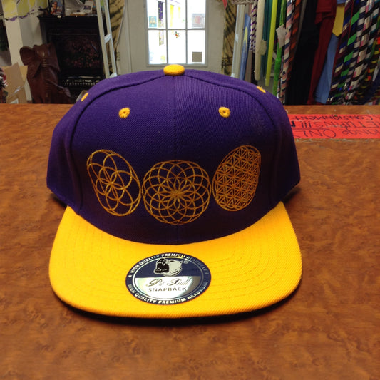 Energy Flow Snap Back Hat - HalfMoonMusic