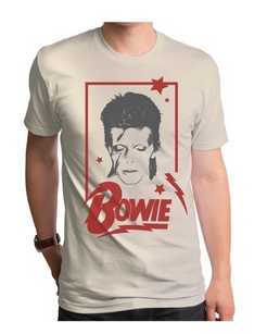 Womens David Bowie Aladdin Sane Frame T-Shirt - HalfMoonMusic